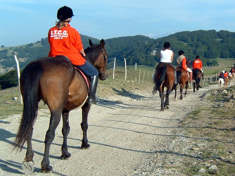 Horse riding in the Alcantara gorges